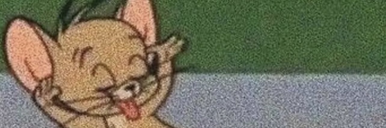 nvshyyv's profile banner image