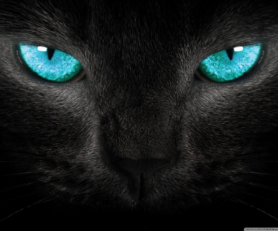 AlmodovarCom's profile banner image