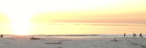 wjfren02 Profile Banner