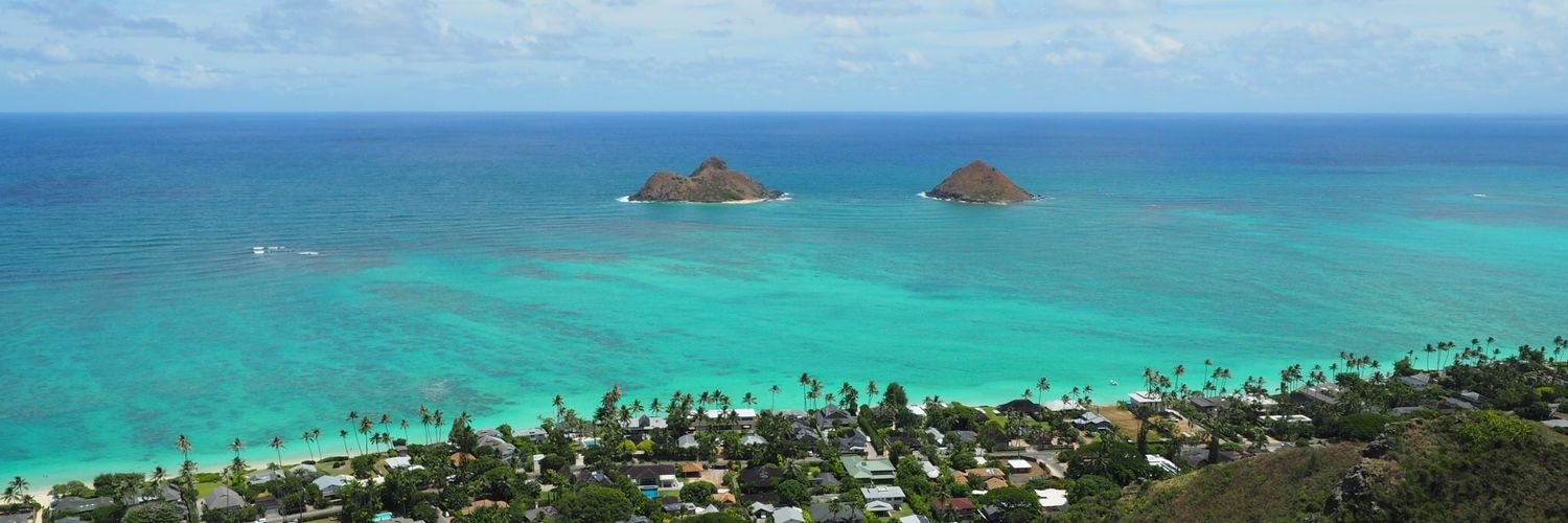 tame@╰( ๑•̀ ₃ •́ )╮=͟͟͞͞ ◑ banner