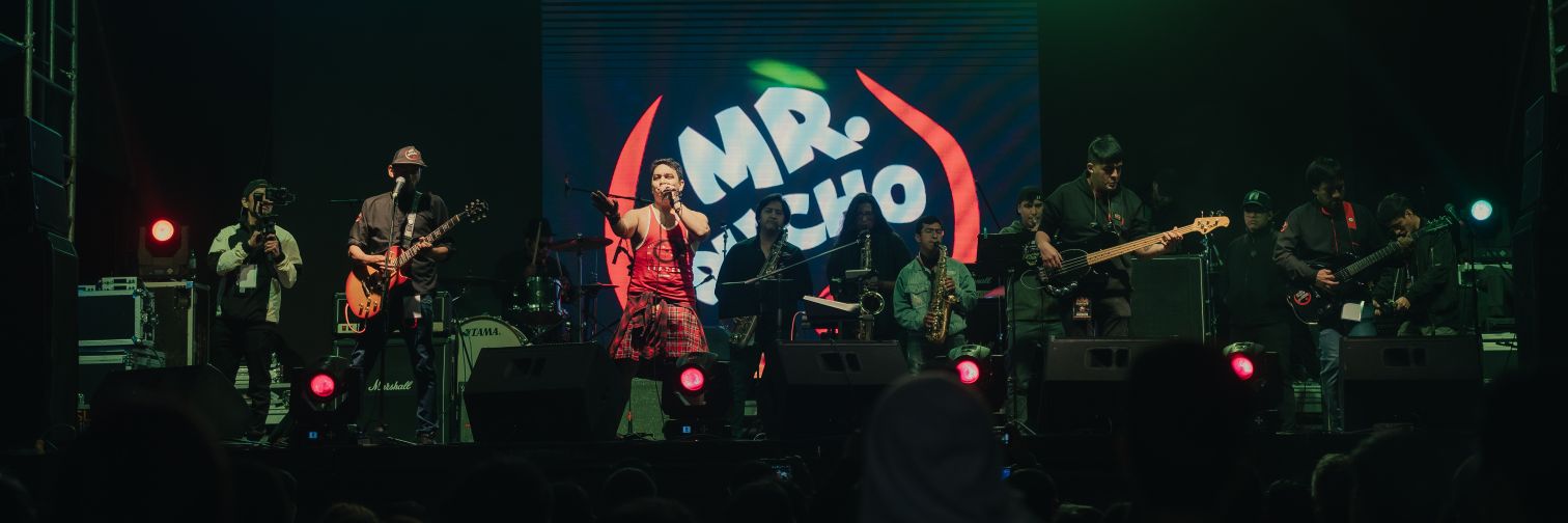 Mr. Pucho banner