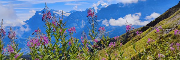 Silvia_Bar01 Profile Banner