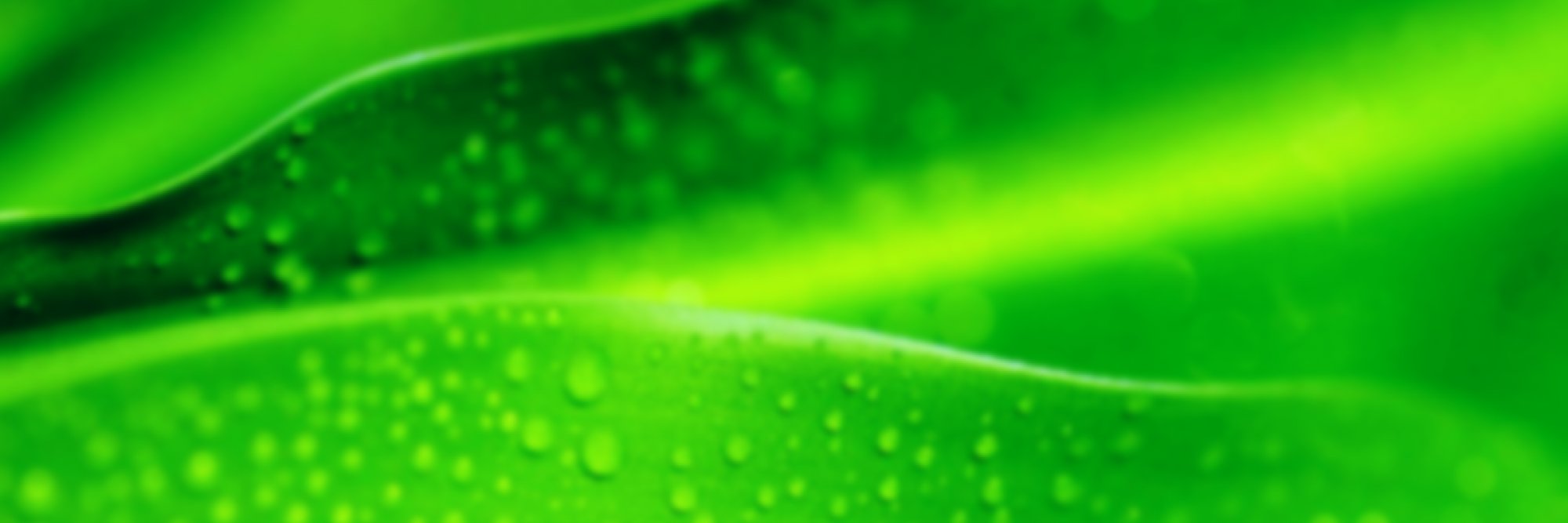STAR_ProBio's profile banner image