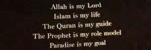 AminaaSyeda's profile banner image