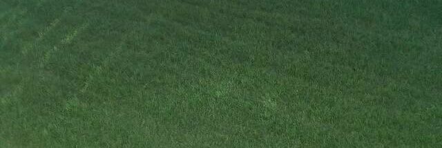 Collinngetich5's profile banner image