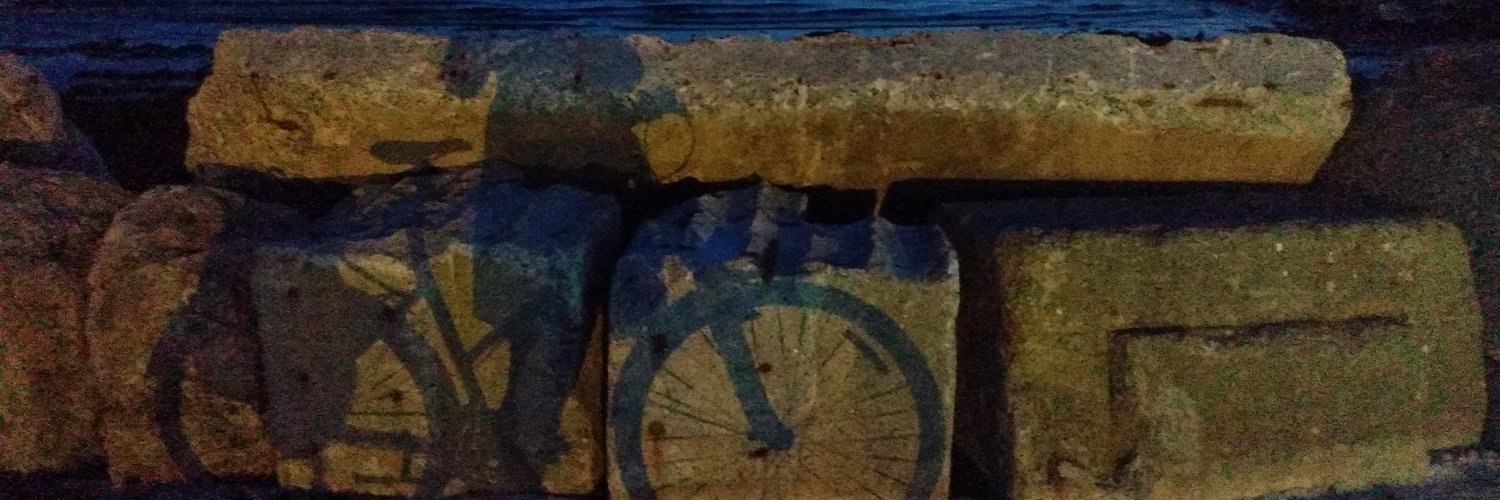 Cécile Robin banner