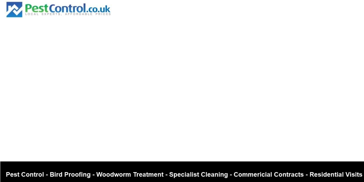 PestControl.co.uk (@pestcontrollers) / Posts / X