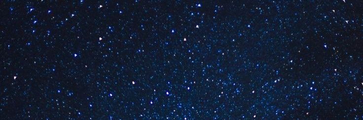 glass_winged's profile banner image