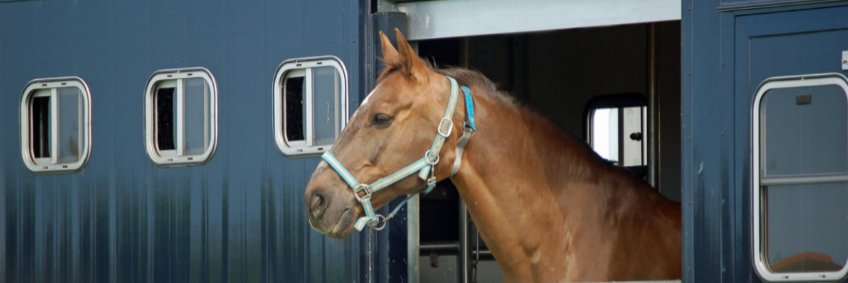 Moorgate Equine banner