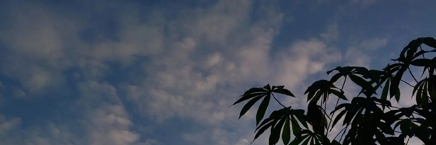 hazelnaan's profile banner image