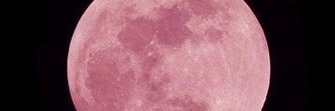 SUKU banner