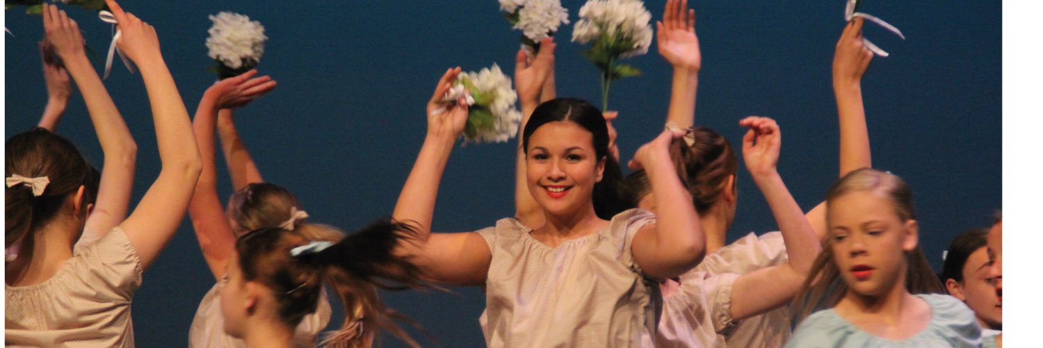 RivDanceFest's profile banner image