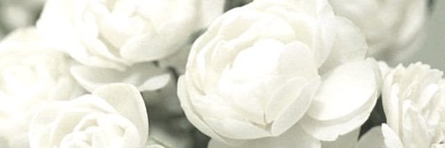りくちゃん banner
