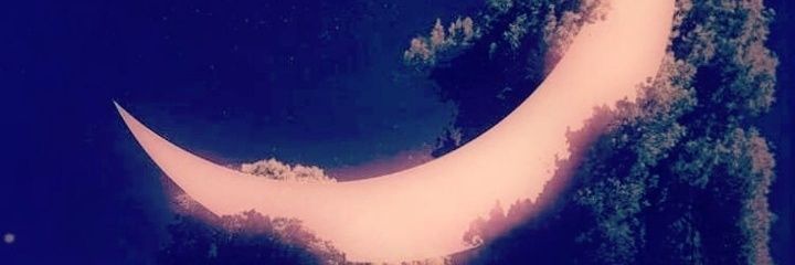 ❤️🌹❤️ banner