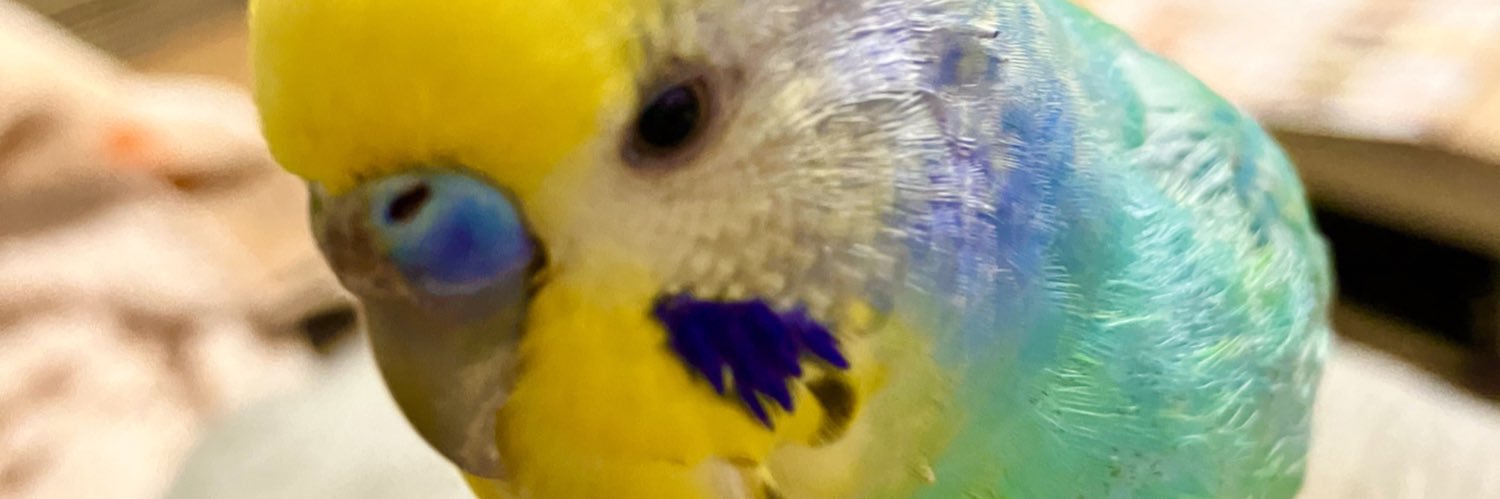 hiro__0's profile banner image