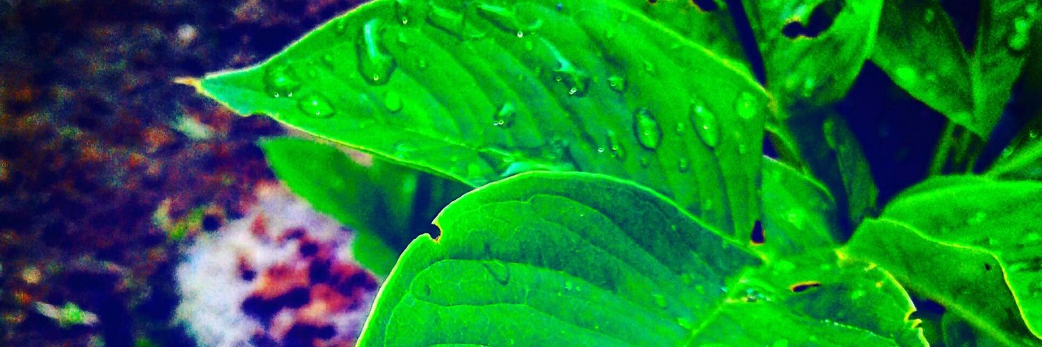 Paresh_Ch_'s profile banner image