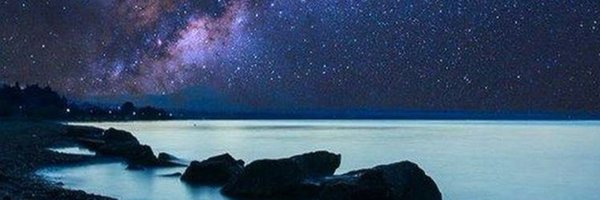 onesadjellybean Profile Banner