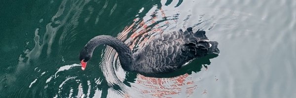 bitcope Profile Banner