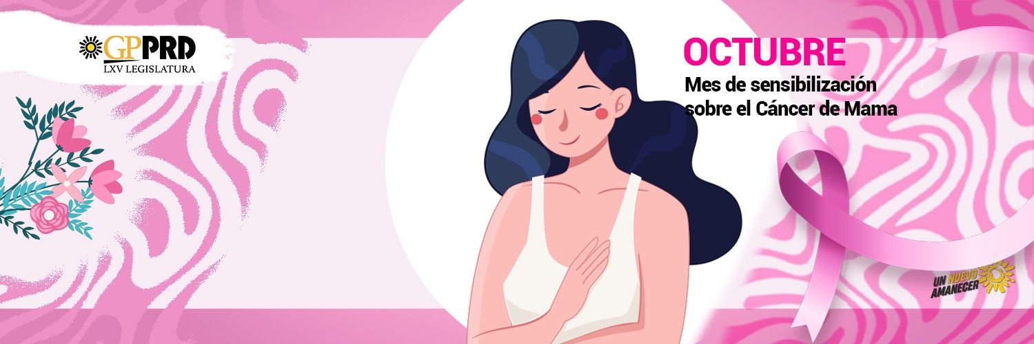 Diputadas y Diputados Federales del PRD banner