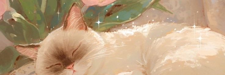 ᴍᴀʏᴀ 𐙚 banner