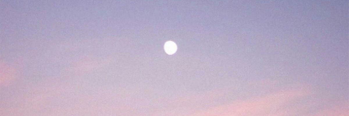 2rofecnad's profile banner image