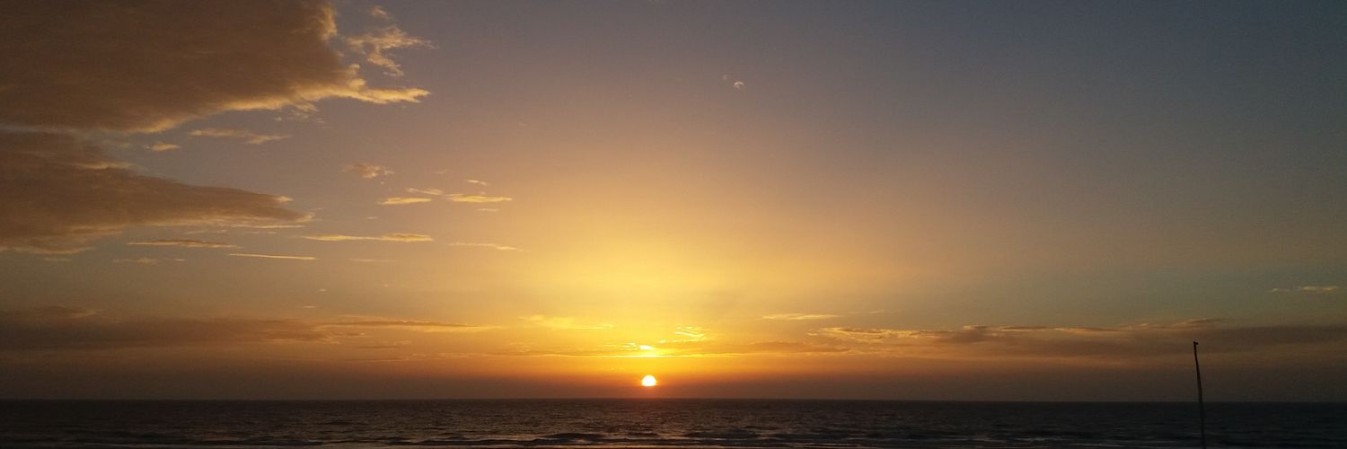 leonorbpinheiro's profile banner image
