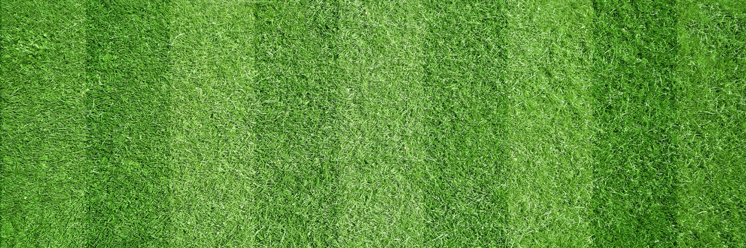 Nottinghamshire Girls & Ladies League banner