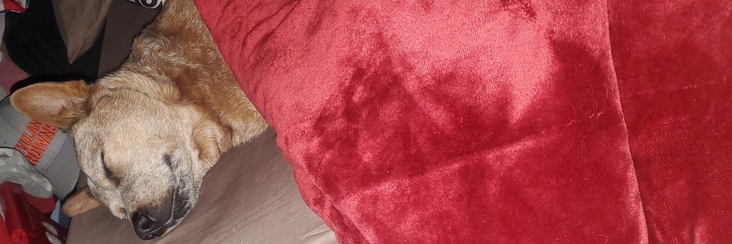 AustinBarile15's profile banner image
