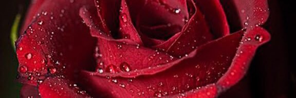 ssmm1222's profile banner image