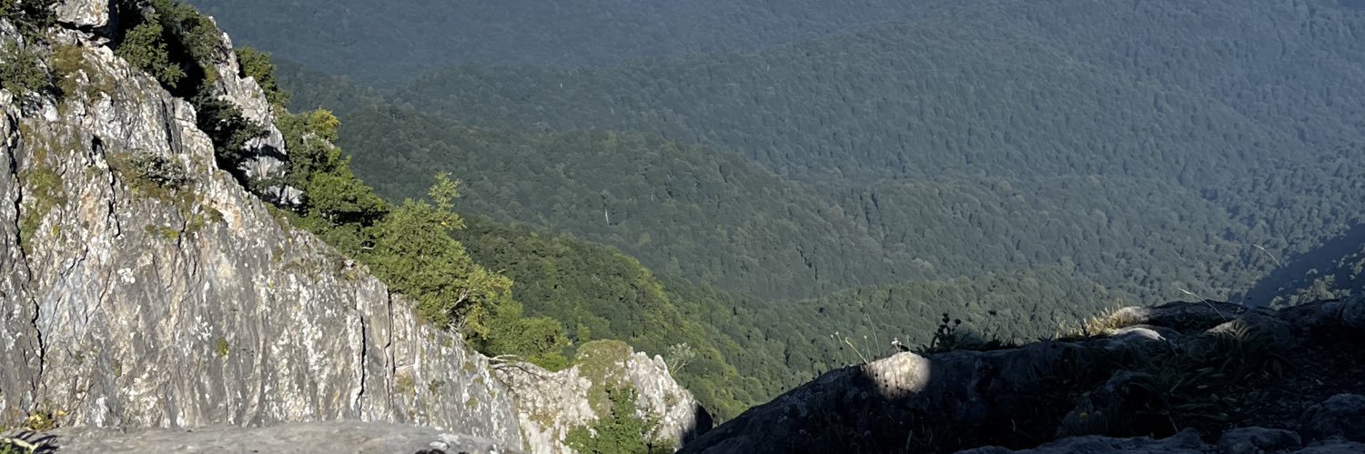 Fereshtehghaff's profile banner image