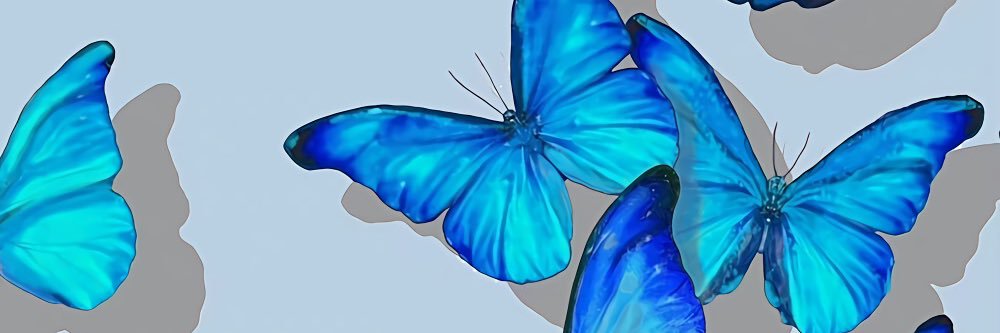 clayyyx's profile banner image