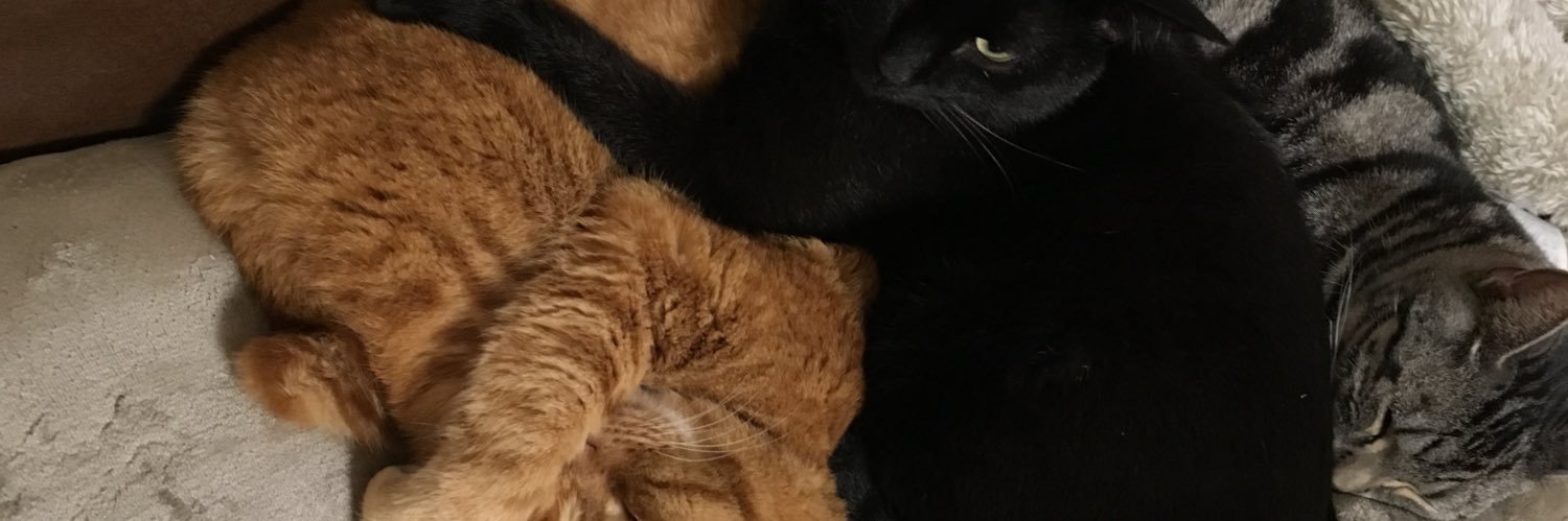 enyuP's profile banner image