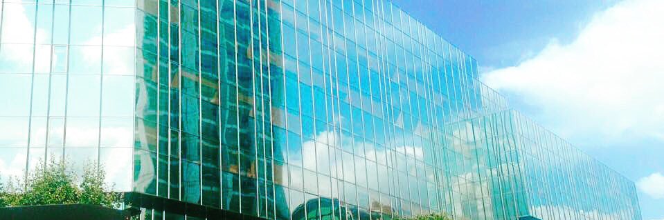 Alice Nicholson banner