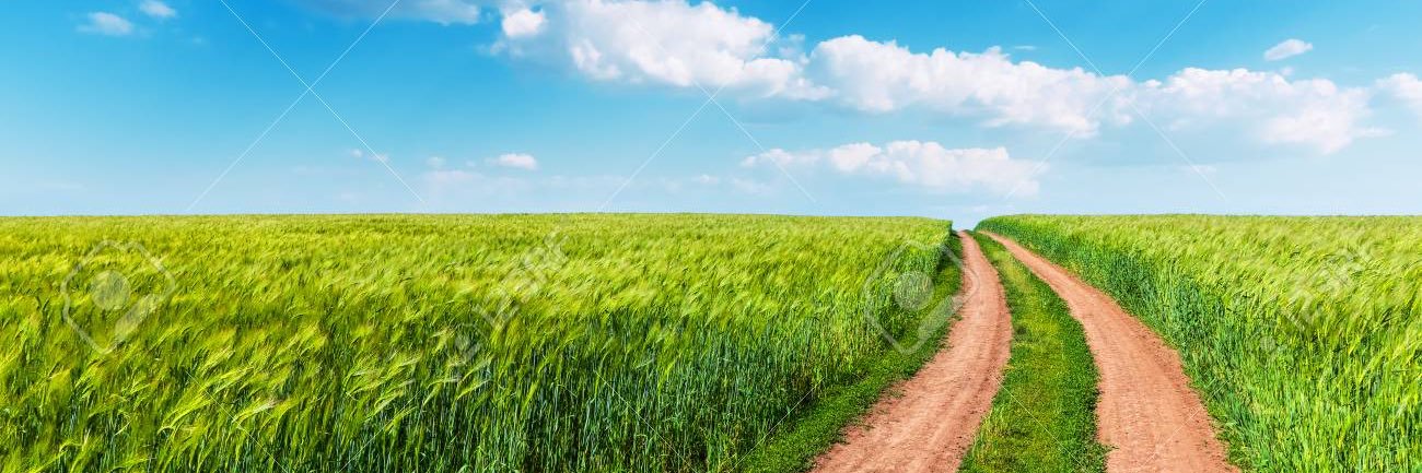 نواف الرمالي banner