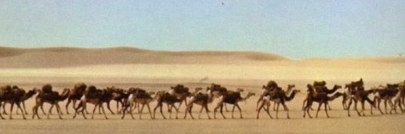 lastsaudi's profile banner image