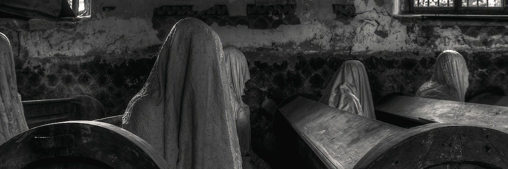 bolognesibruno's profile banner image