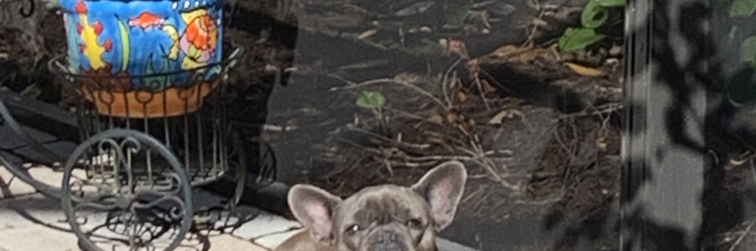 pupsMama7 banner