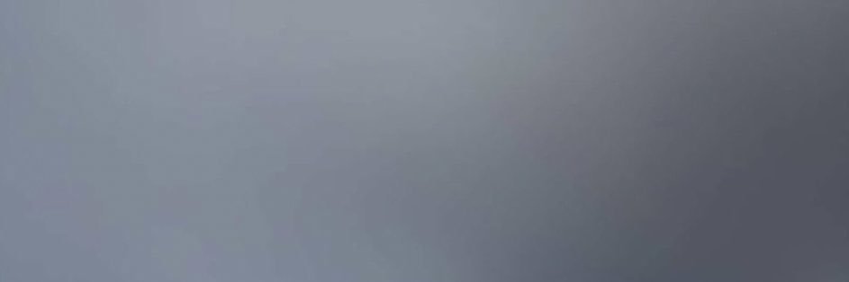 LOLYTA banner