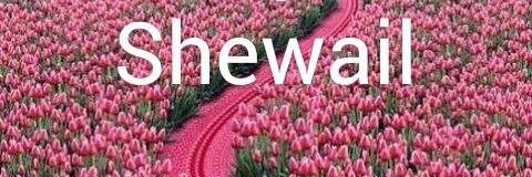 shewail55's profile banner image