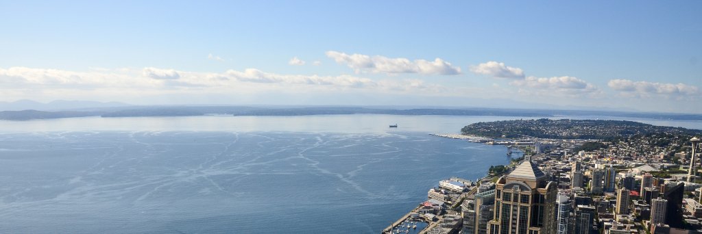 The Nelson Lab banner