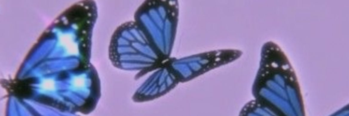 abbiesparkes's profile banner image