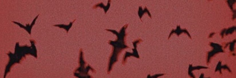liesofdidi's profile banner image