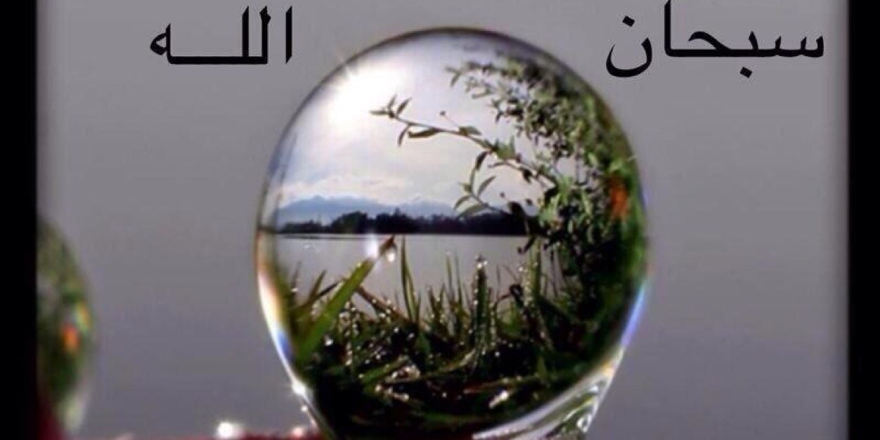 M_ALWALEDQ's profile banner image
