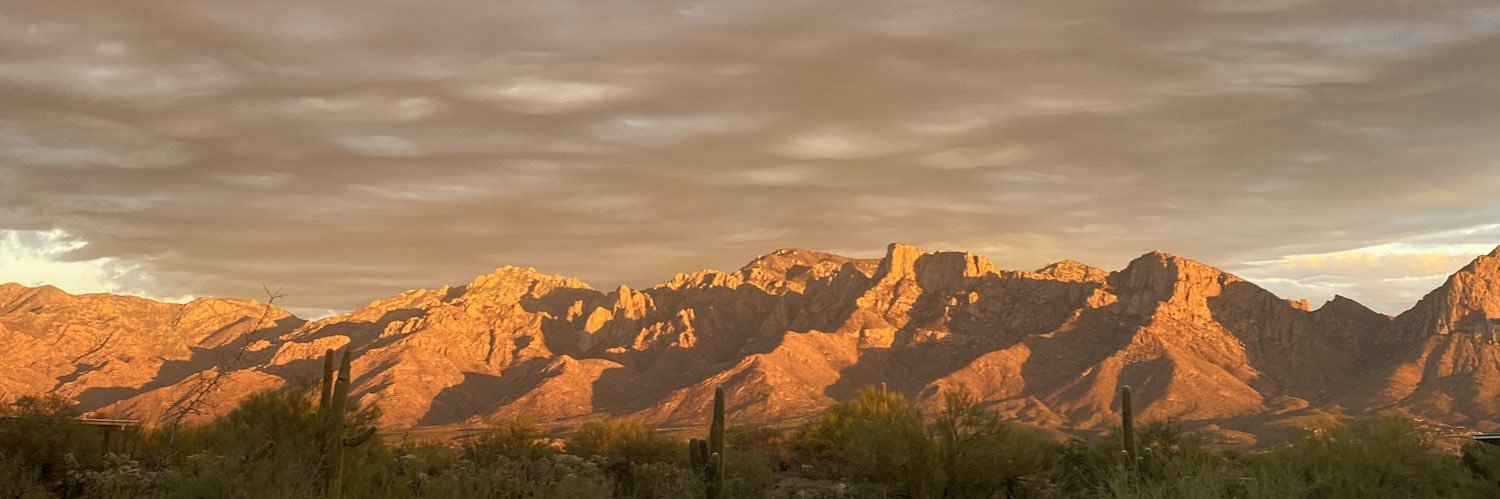 Ian Roark banner