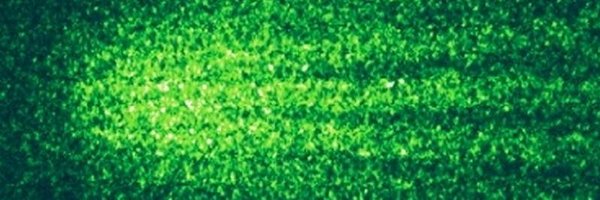 Philippe_Duluc Profile Banner