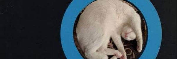 freakologie Profile Banner