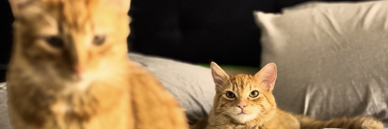JAIRCHOLMOS's profile banner image