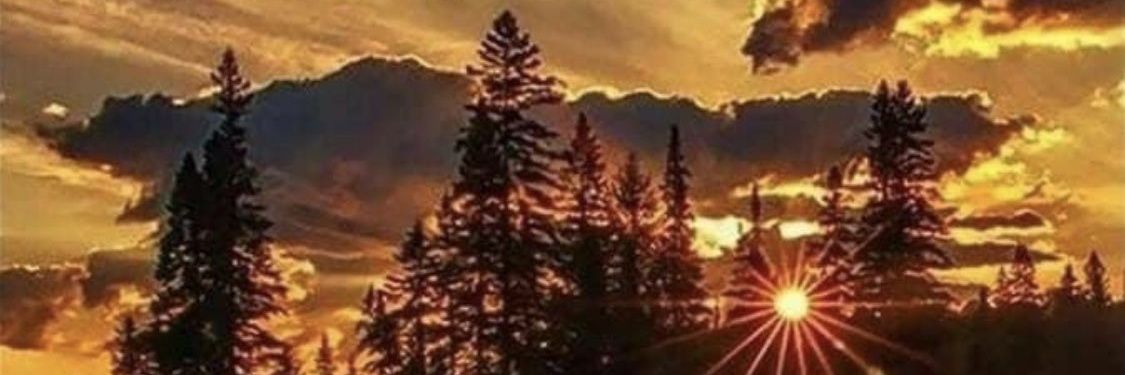🥀🎼 banner