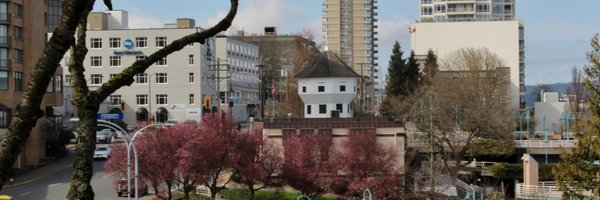 the_smilingdog Profile Banner