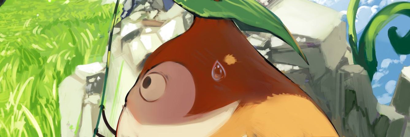 Resanoca banner